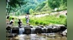 从单点开花向全域提质　礼县文旅盛宴引爆暑期乡村游
